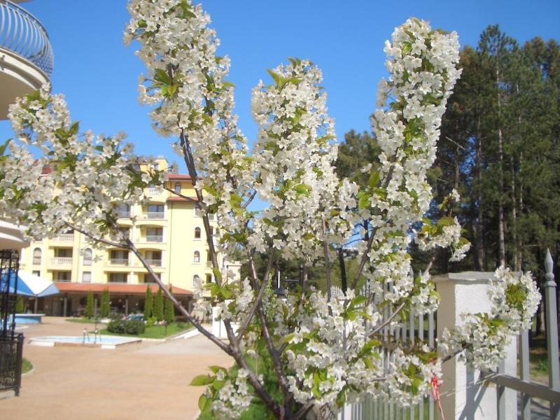 Complex Sunny Dreams Aparthotel Sunny Beach Exterior photo